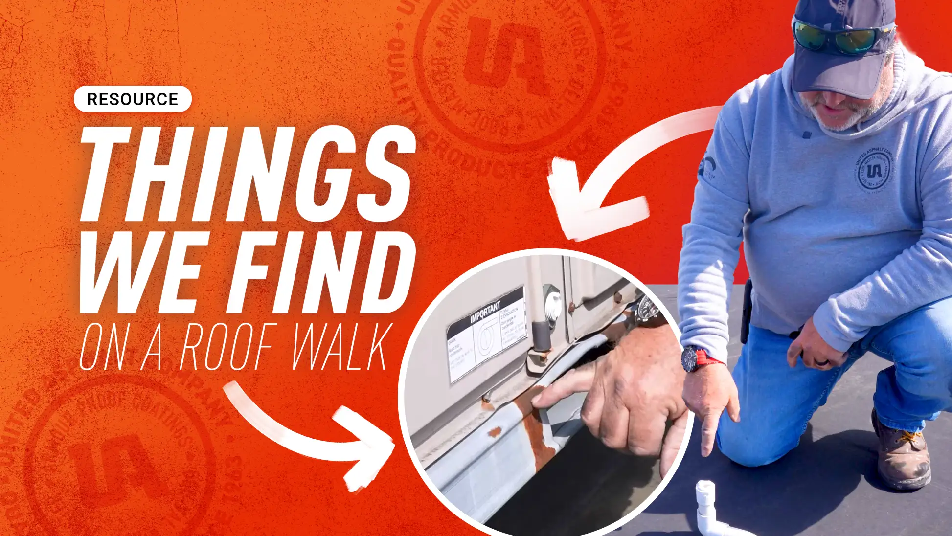 Things We Find on a Roof Walk Hero